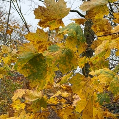 daddydoodah65's profile picture. Personal account of music mad fan of all quality music! all views expressed are my own....