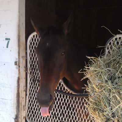 jakealley22's profile picture. 