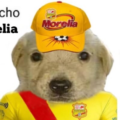 YAFLOW13's profile picture. 🧸|| Morelia, Michoacán 🇲🇽|| @C_A_Morelia 🔴🟡 || @DiablosRojosMX⚾️ ||@LAFC ⚫️🟡 || Obradorista🇲🇽|| Cardenista 🇲🇽 ||