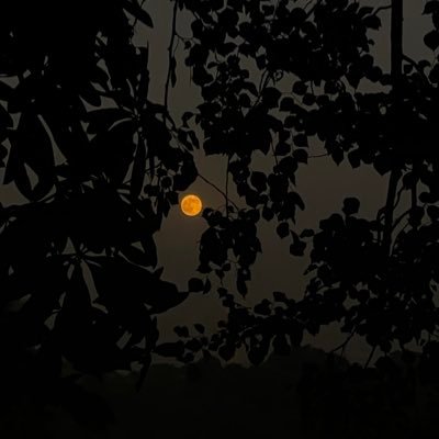 MarriamHere2005's profile picture. 