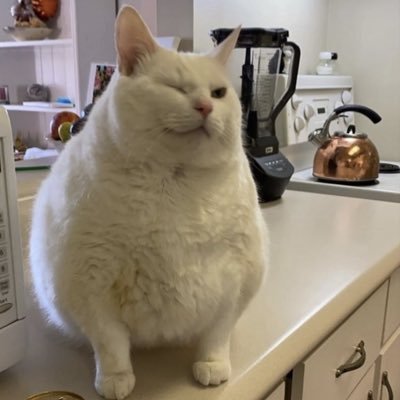 Yyb7177's profile picture. 