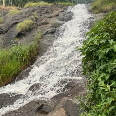 Sivamayae's profile picture. 