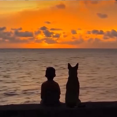 Vishsoni7's profile picture. SDE 👨🏻‍💻 | @neogcamp 23