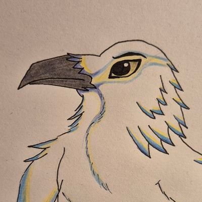 Kyraveiko's profile picture. | INTJ | 19 | I'm a White Crow! | 🇫🇷 | he/him |