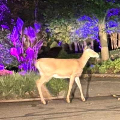 NONBlNARY's profile picture. 🌘I know exactly where you are.🌒🔞