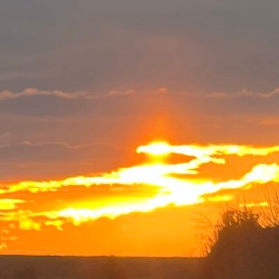 plaids9r's profile picture. 