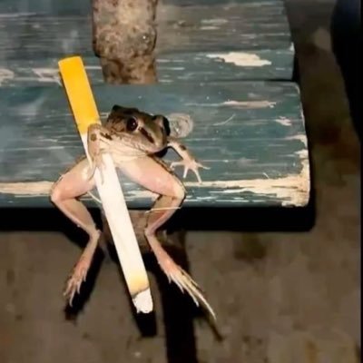 mightyd1hhck's profile picture. 