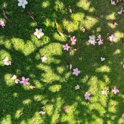 e_bananarab's profile picture. SWE at @uqu_cc • Outside of the comfort zone • ENTJ •
👩🏻‍💻💡✍️🏼📖🚀🌌🌧🌸🇸🇦