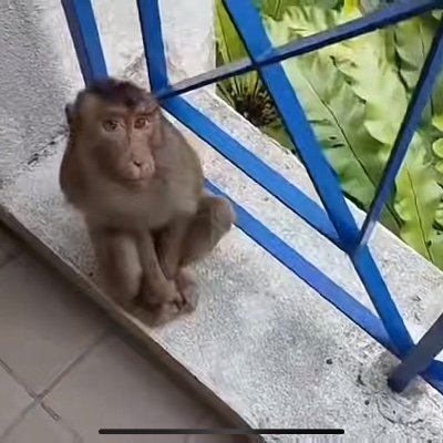 _mon_i_'s profile picture. ☁️🤸🏻‍♀️ frágil y algo alocado, Infp