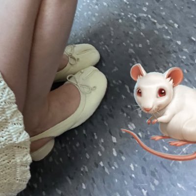 oo00O0o0ooo's profile picture. elven priestess & armenian princess