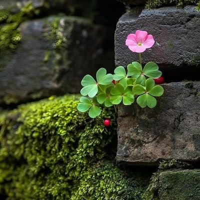 Alper2016's profile picture. The Last Alaskans...!