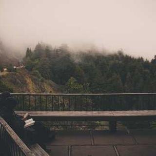 cybercore875475's profile picture. palate advocate