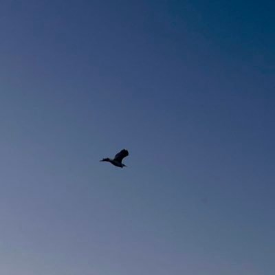 Ma7moud_sabra's profile picture. DevOps Engineer