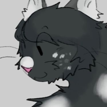 jazzgeek's profile picture. 🪖18+ sometimes • eco socialist • Herpetology & Entomology nerd • pro-racing