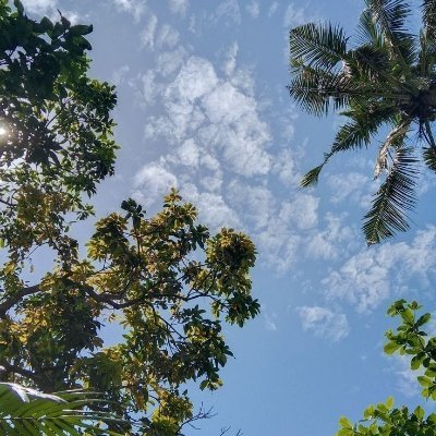 boyzwenu's profile picture. Quantum Computing | Software Engineer | Python | React | Javascript | Machine learning | ai | Cybersecurity |