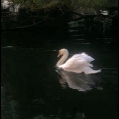 oonotamye's profile picture. ﴿ فَقُلِ الْحَمْدُ لِلَّهِ ﴾