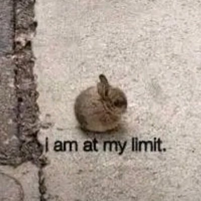 rherexoxo's profile picture. i’m god’s personal joke :) Kworb was my first heartbreak