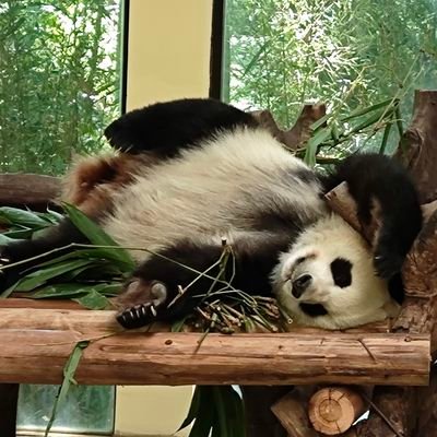 uj37kMx2cC35826's profile picture. 