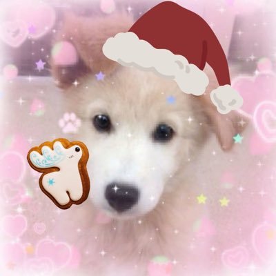 ghostpetrichor's profile picture. 🏴󠁧󠁢󠁳󠁣󠁴󠁿‧₊˚ 17 years old 𓈒 ˙ ˖. puppy ✩ ° ⋆✩₊˚ multifandom˚₊‧ priv:@garfieIdfan1✩ ° ｡⋆