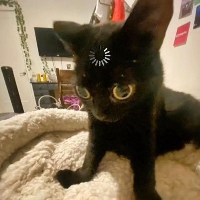 Huh101231's profile picture. Made this account for art💞