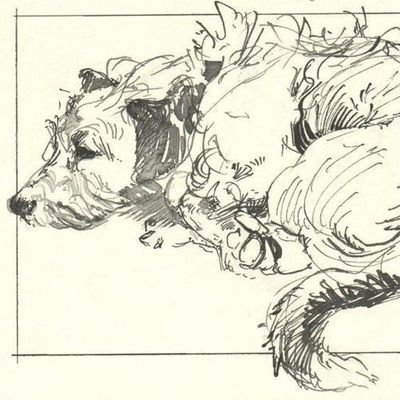 bluebird3974's profile picture. 