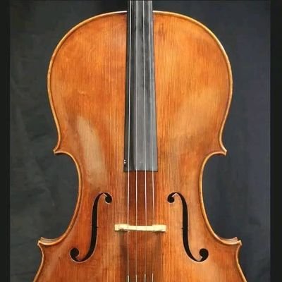 PetarMarko58458's profile picture. 