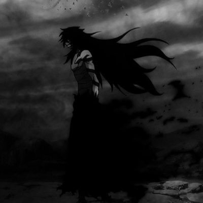 Vexfvv's profile picture. fn comp