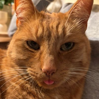 MisterRobertoMo's profile picture. #zeiler zonder zeiljacht. Wel op zoek. Om deze klucht waar wij nu inzitten te ontvluchten