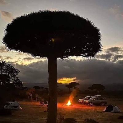 Samrher780's profile picture. 