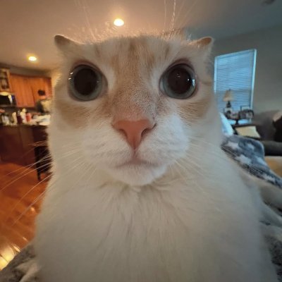 0xdevilsec's profile picture. 