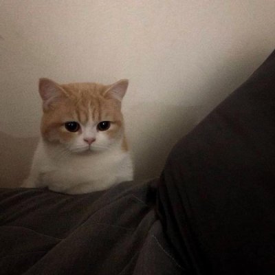 MThi928985's profile picture. 