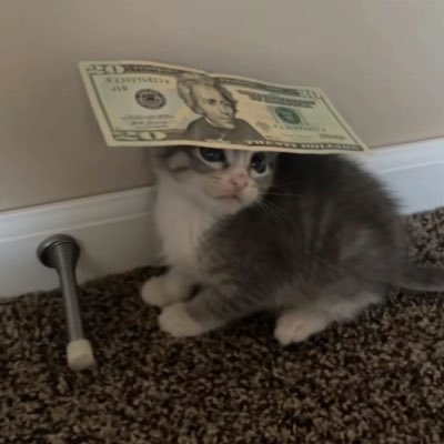 detachedn's profile picture. 💆🏽‍♂️ #EverybodyGottaEat