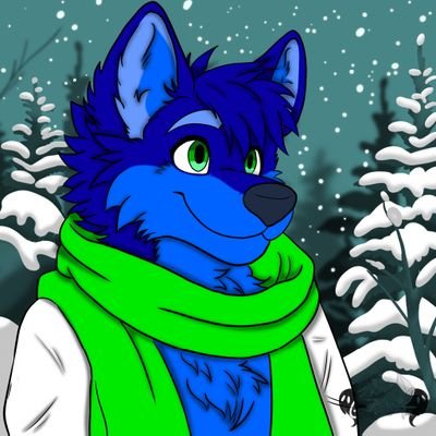 Anisateur's profile picture. 27/🦊/distiller/💙taken by @TheDrunkRaccoon 💚/Suit: @BeastLabsSuits