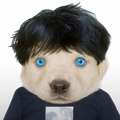 xlelecon's profile picture. Cryboyer (aquí no hay Crybabys 🫡) ... Arriba yo, mi apá, Cry,  Rych, Chriz, Pesquita y la chona 😎🫵🏼 | Mi mejor amigo es Cry (aunque no lo sepa)