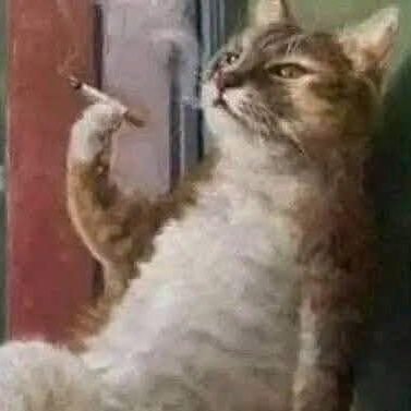 abdosal4929508's profile picture. الكل هنا عايش بشخصية غير الحقيقه 
فا بلاش كدب  وخليكو صرحه بانفس لشخصيه الي هيا في تويتر.اما اشخصية الحقيقه بتاعتك خليها في بيتك عشان جوزك مايشوفهاش😂🔥😎