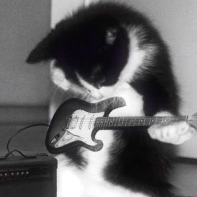 viorafranciska's profile picture. maybe this is better