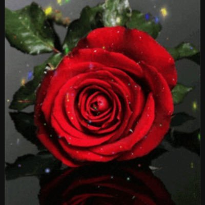 AnistonJen39896's profile picture. American actress and producer