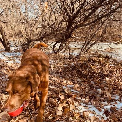 janicour's profile picture. Country girl, animal lover, golf, gardener, nurse,Winnipeg Jets, Blue Bombers🐕🐎🐱🐰🏒🇨🇦 🍁