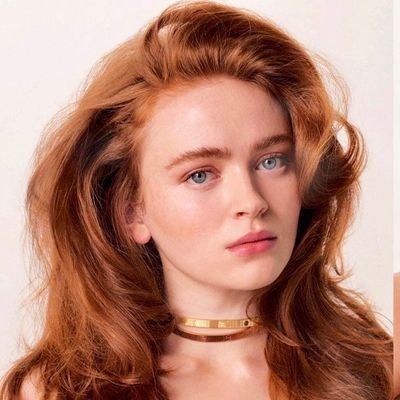 _Vishuuu's profile picture. Narcissistic || Egoistic || Manipulator || Rude || Slightly Racist || Cinephile || Sadie Sink paglu 🎀 ||