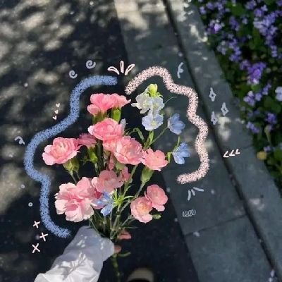 auisha_z's profile picture. 