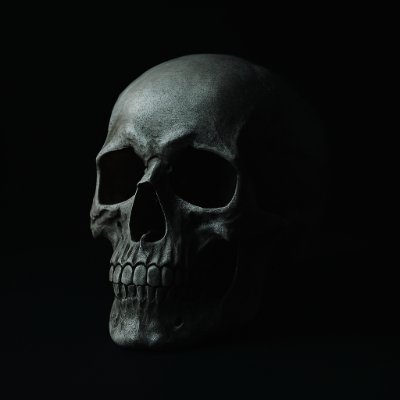 landofwriting's profile picture. I bake cookies and kill people (only in my stories). Horror writer. Writing tips. Daily horror content