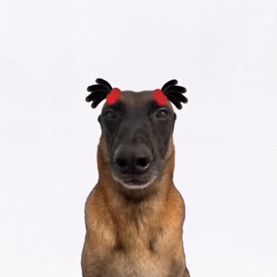 aelucs's profile picture. 👹