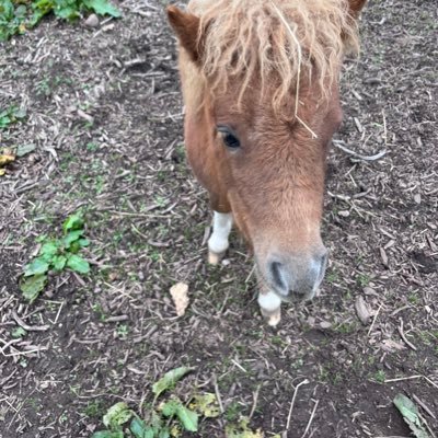 Kezz_2009's profile picture. 