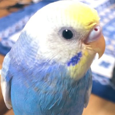 __jun_t's profile picture. エンジニアです。