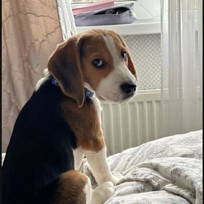 Mattdale436011's profile picture. 