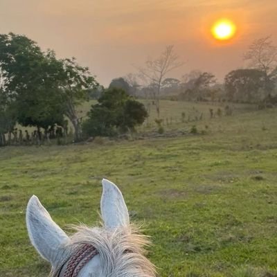 carlosjim3ne's profile picture. 