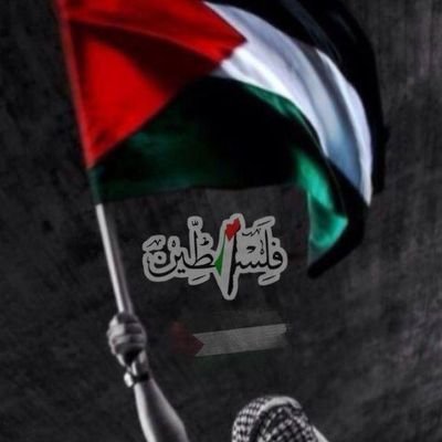 MelodyMing22492's profile picture. United for humanity and justice 🇵🇸