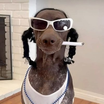 sillyfungirl7's profile picture. SIlly, Fun , Girl