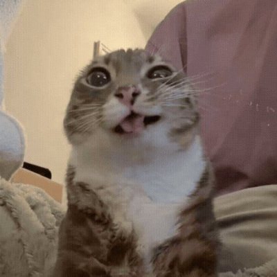 DominikKas61295's profile picture. 🧱 Builder | 🎨 UI Designer
DM me for commissions 💬
Discord: kapekibegosv2
🇵🇱