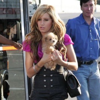 slimesouljas's profile picture. ##gso